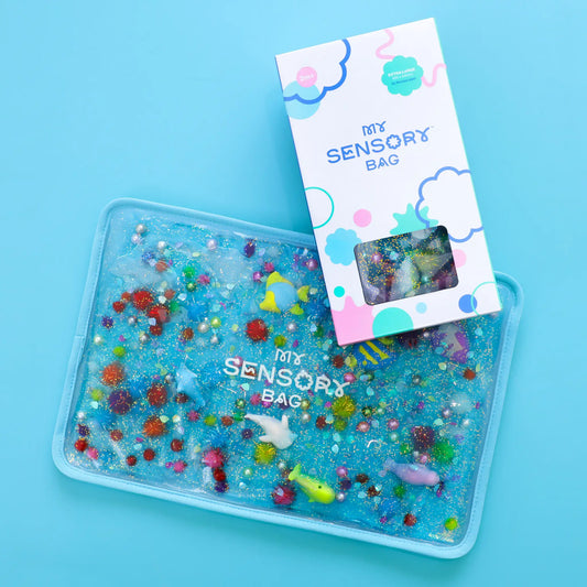 Large Sensory Bag